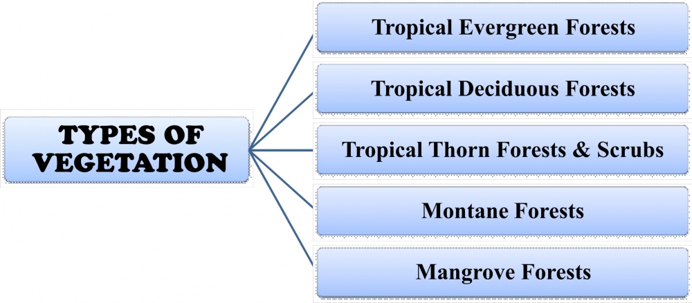 natural vegetation of india wikipedia