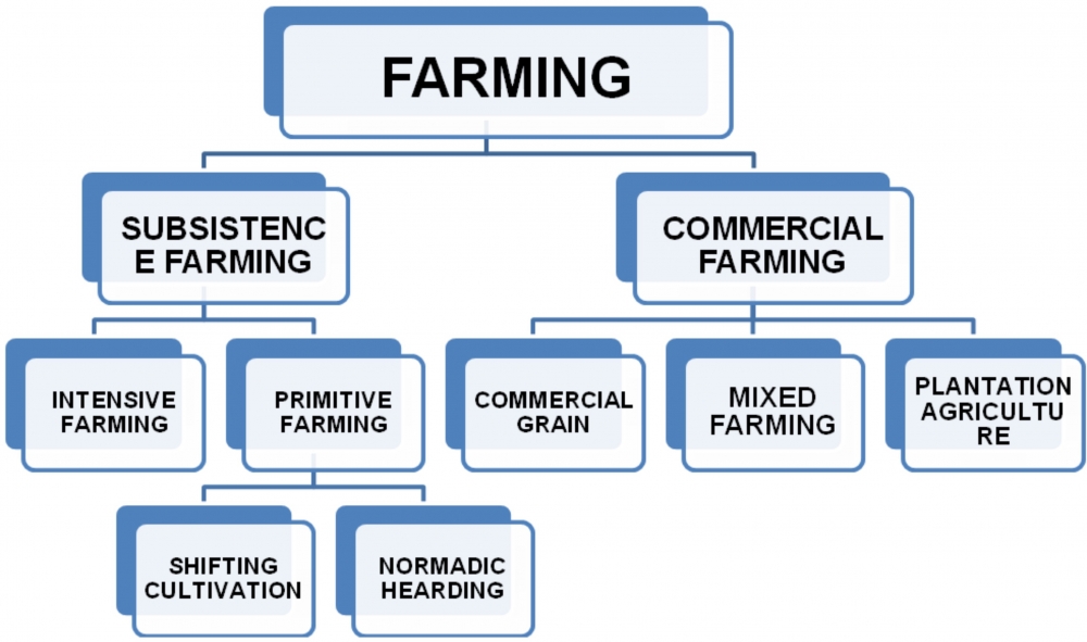 Types Of Agriculture Chart