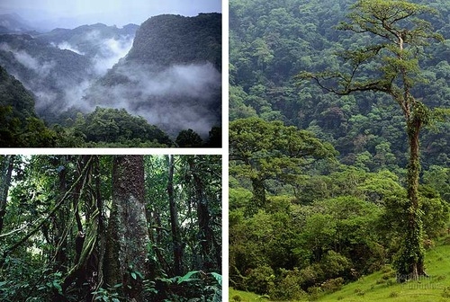 six natural regions of india