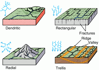 trellis 0 o