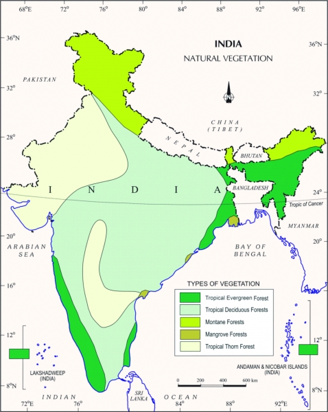 vegetation on map of india 0 o